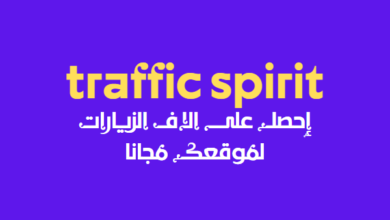Traffic Spirit